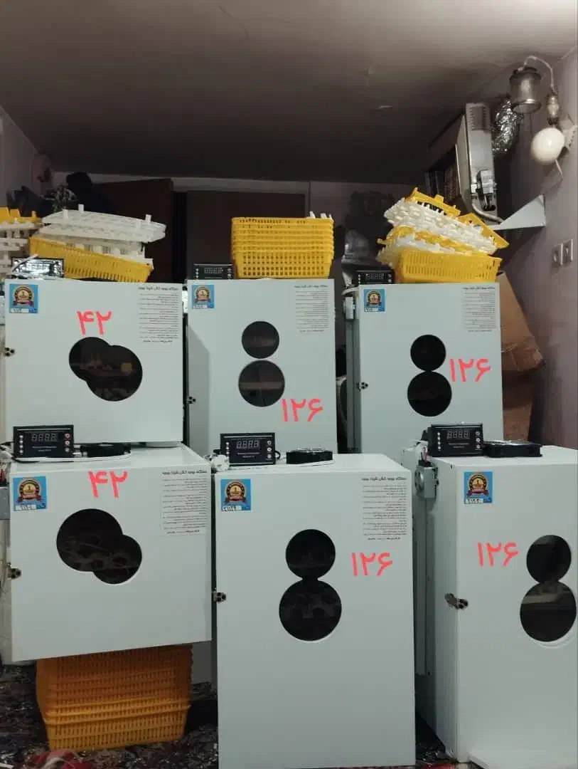 انواع دستگاه جوجه کشی با حافظه انتخاب پرنده|لوازم جانبی حیوانات|گرگان, |دیوار