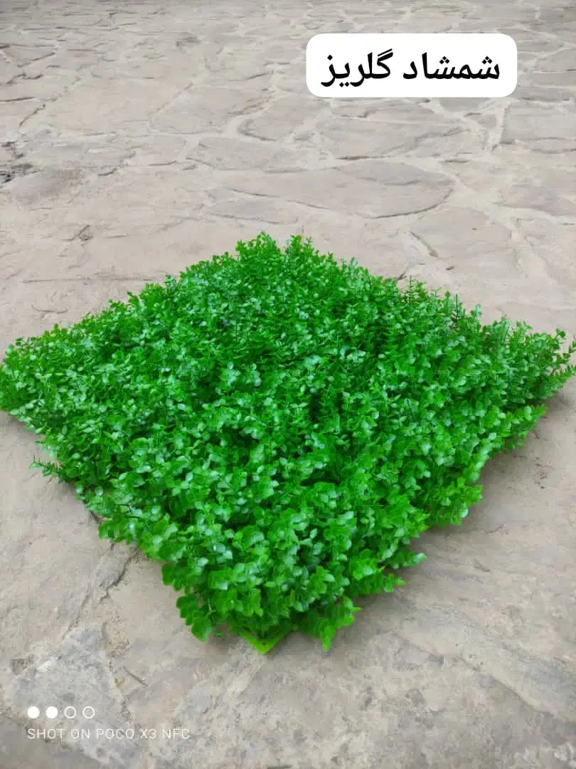 شهر چمن|مصالح و تجهیزات ساختمان|کرمان, |دیوار