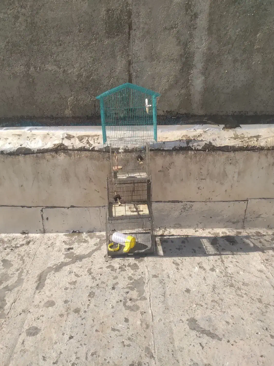 قفس پرنده با وسایل جانبی|لوازم جانبی حیوانات|اندیشه, شهرک مریم|دیوار