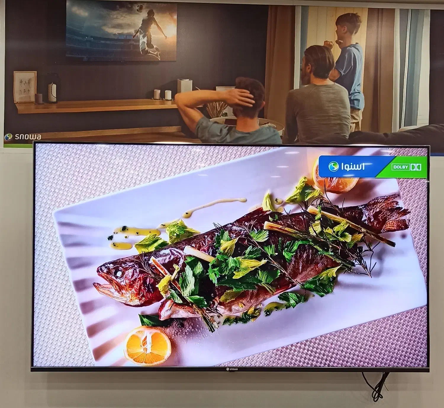 تلویزیون اسنوا اقساطی بدون سود(شعبه مرکزی کارخانه)|تلویزیون و پروژکتور|بیرجند, |دیوار