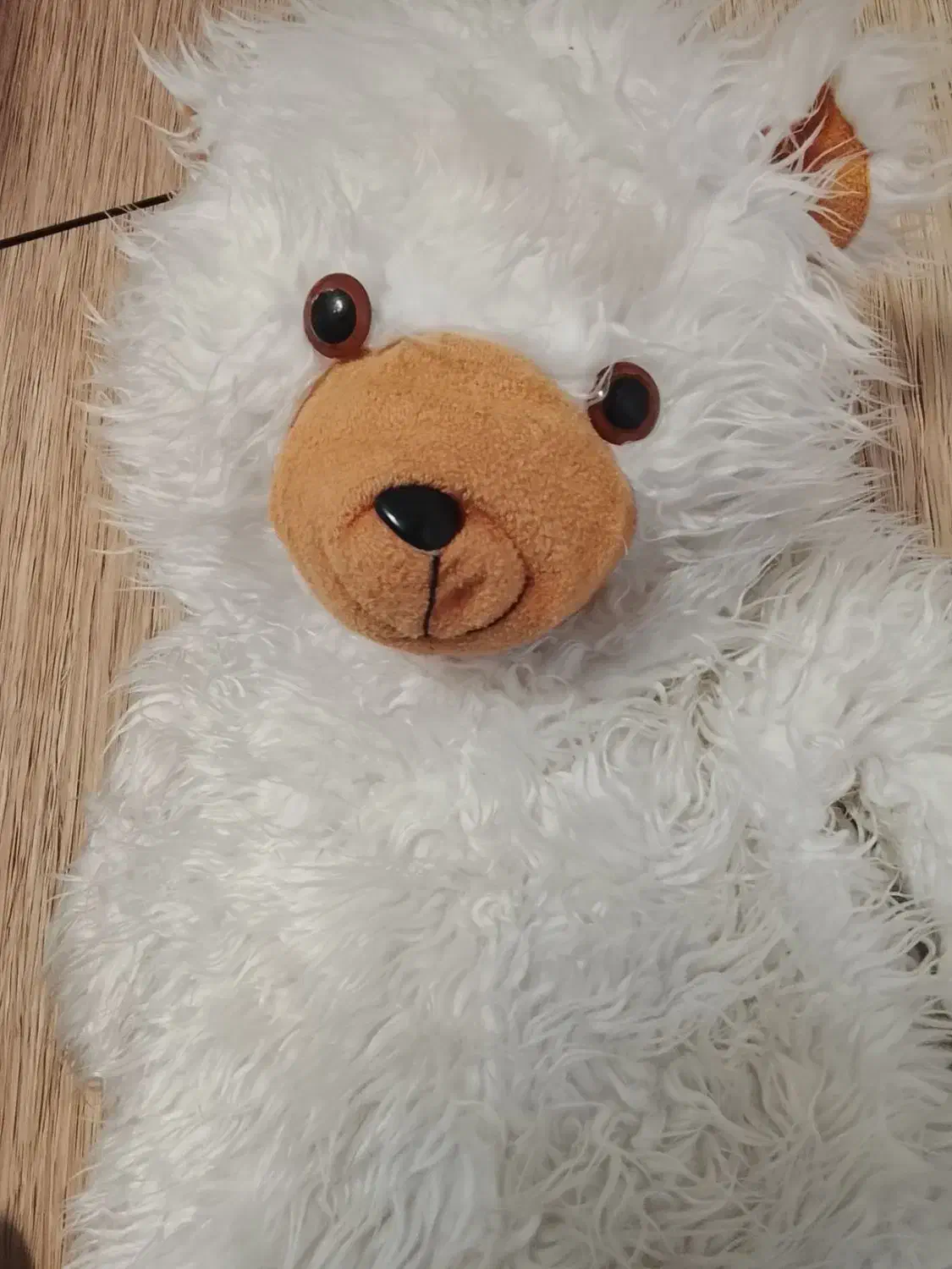 عروسک بزرگ خرسی|اسباب‌بازی بچه|مسجد سلیمان, |دیوار