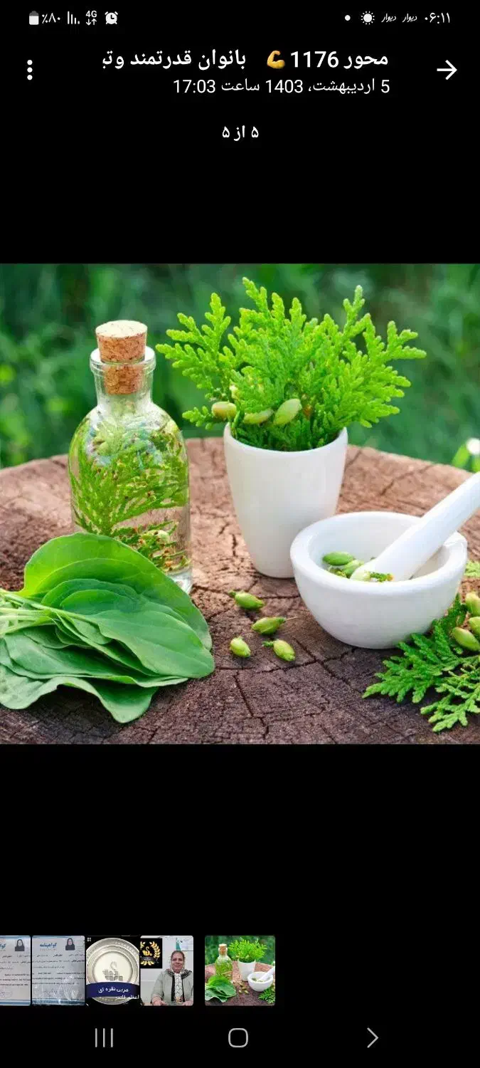 سلامت و زیبایی و کار و درآمد|استخدام آموزشی|الیگودرز, |دیوار