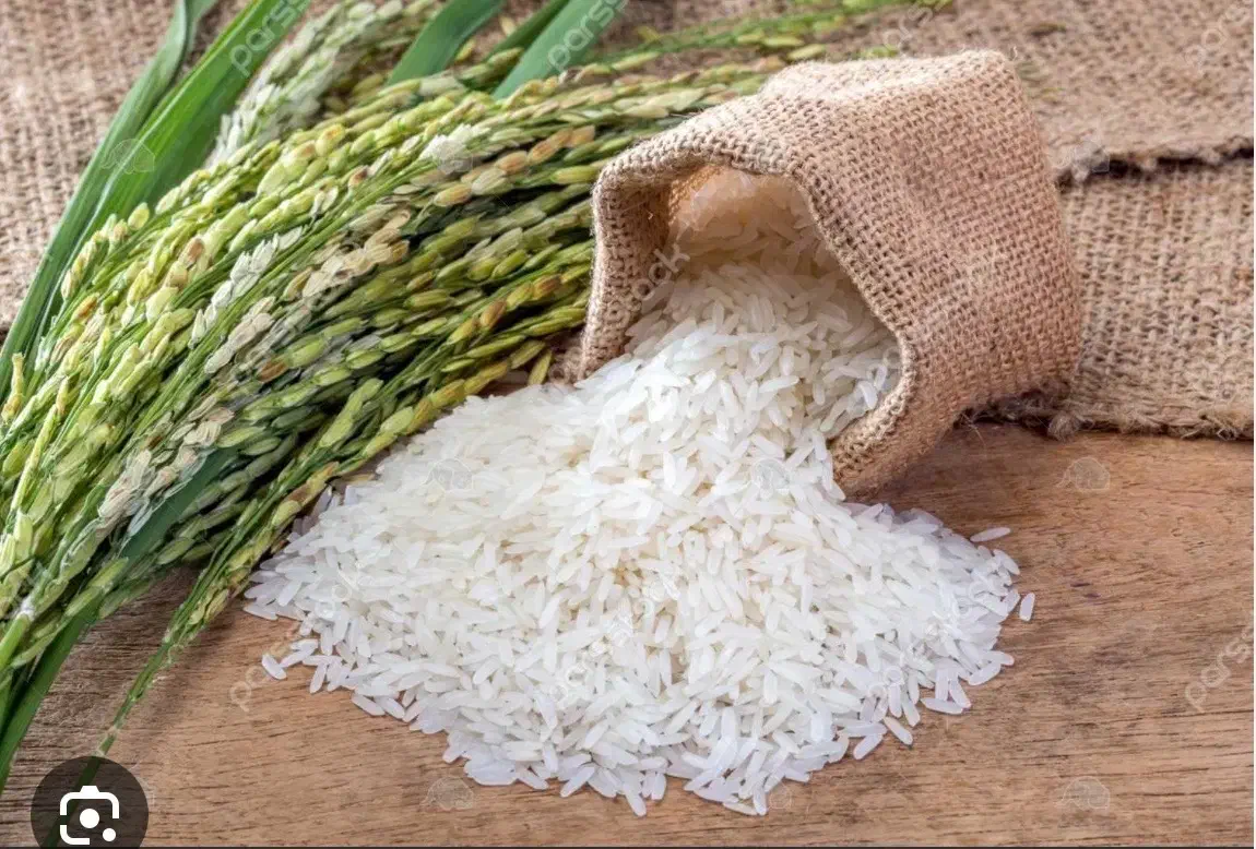 پخش برنج و عسل|خوردنی و آشامیدنی|مهریز, |دیوار