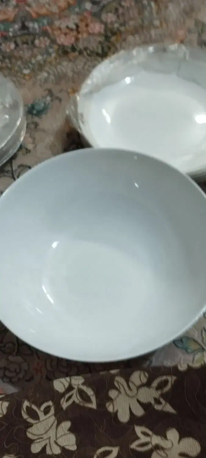 ظروف آرکو اپال کاملیا|ظروف سرو و پذیرایی|پاکدشت, پاکدشت (مامازند)|دیوار