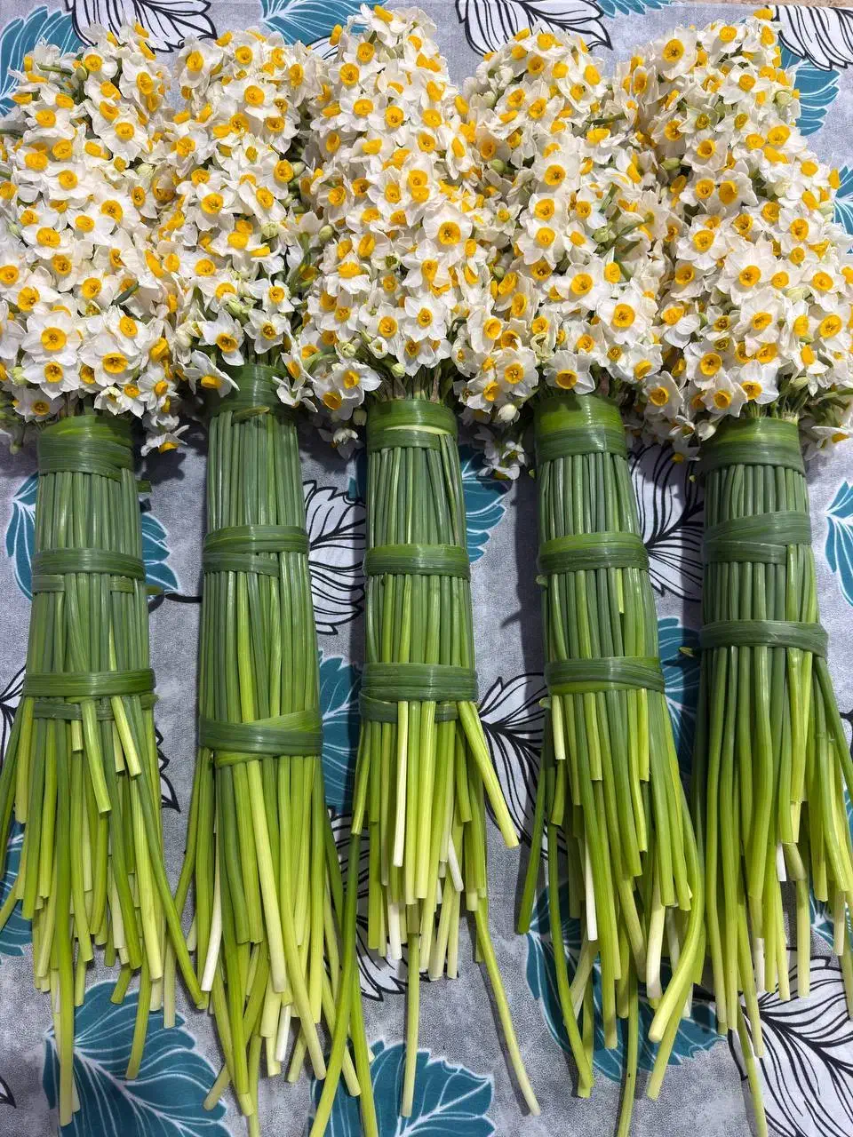 گل نرگس|گل و گیاه طبیعی|تهران, نارمک|دیوار