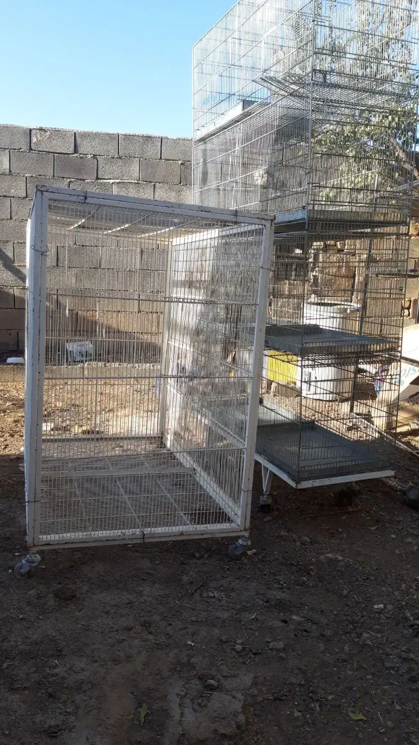 قفس بزرگ|لوازم جانبی حیوانات|خمین, |دیوار
