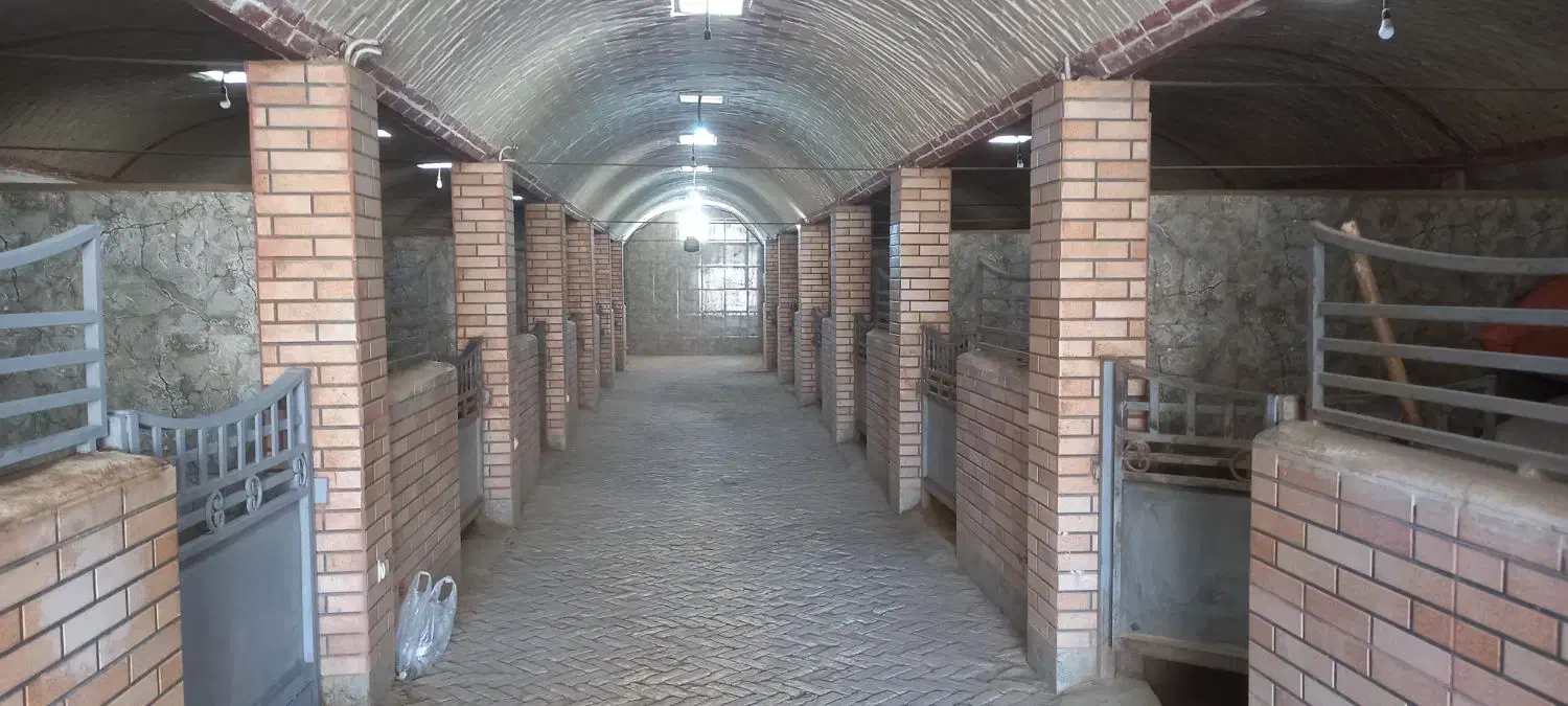 مجموعه پرورش وترین اسب عرب اهورااستاد|اسب و تجهیزات اسب‌سواری|اصفهان, فرودگاه شهید بهشتی|دیوار