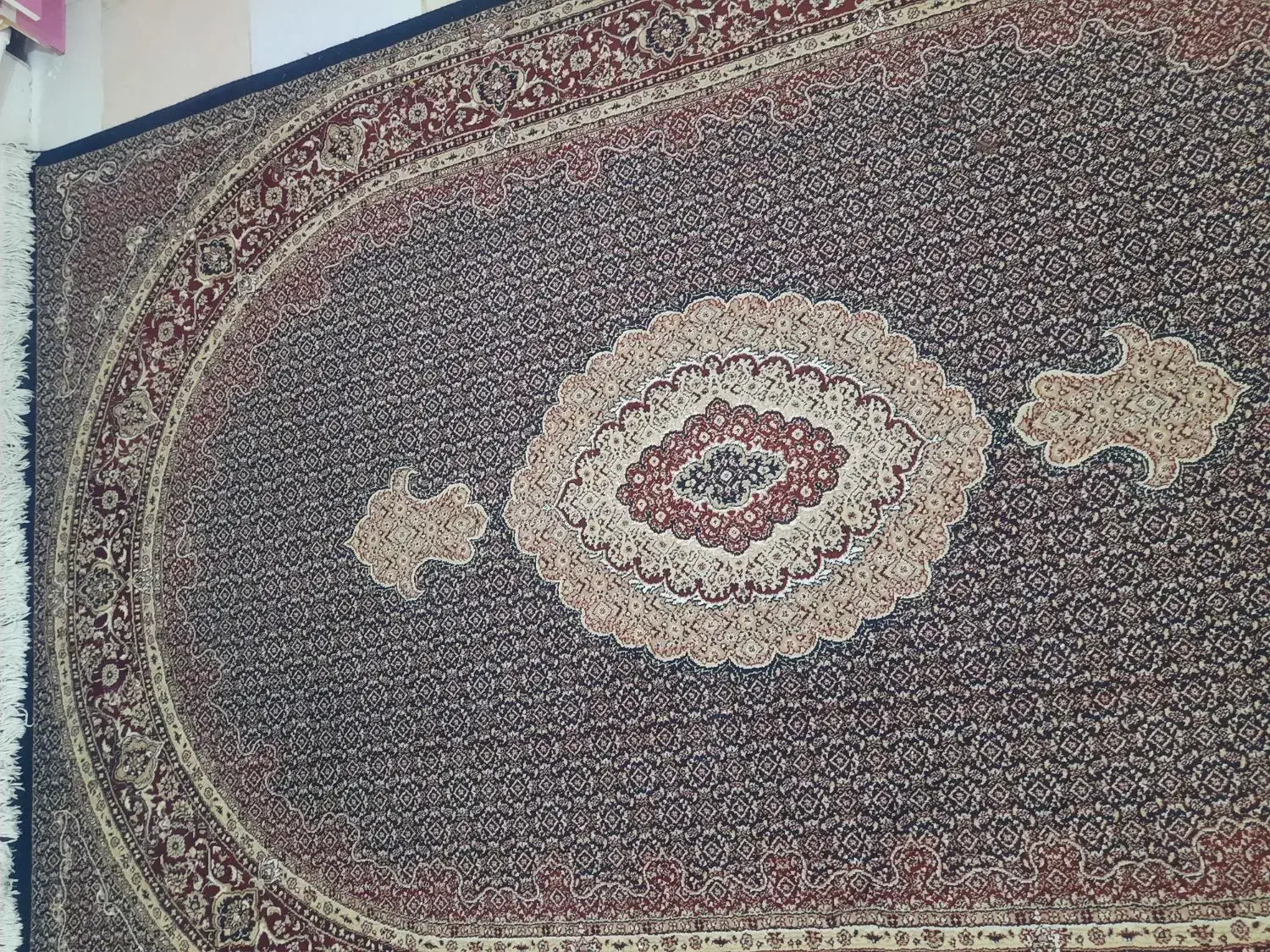 قالی۵۰۰شانه|فرش|مریوان, |دیوار