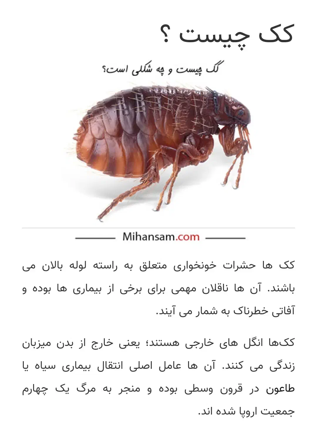 سم پاشی وضدعفونی اماکن ومنازل وتمام محیط|خدمات نظافت|گرگان, |دیوار