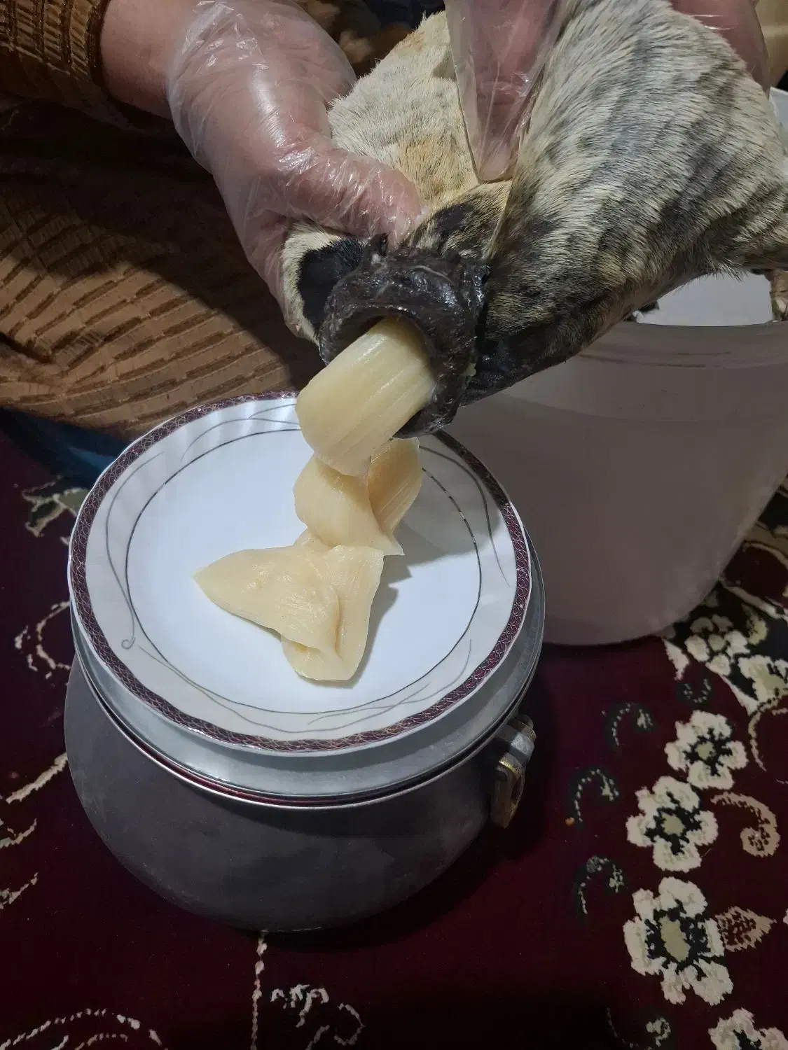 غذایی|خوردنی و آشامیدنی|کوهدشت, |دیوار