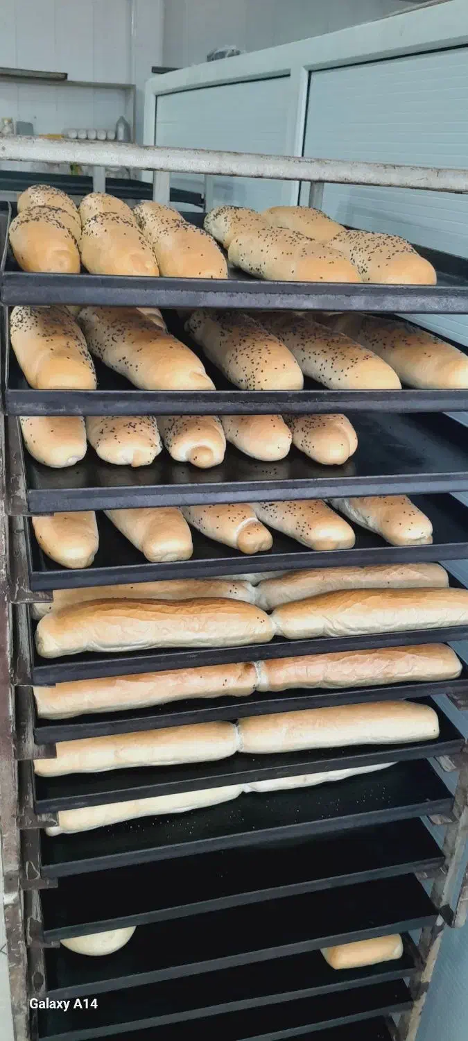 فروش کامل تجهیزات نان فانتزی در حال کار|فروشگاه و مغازه|اهواز, کوی باهنر|دیوار