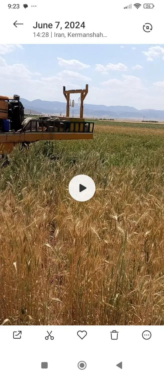 اجاره زمین کشاورزی آبی با چاه عمیق|اجارهٔ دفتر صنعتی، کشاورزی، تجاری|حمیل, |دیوار