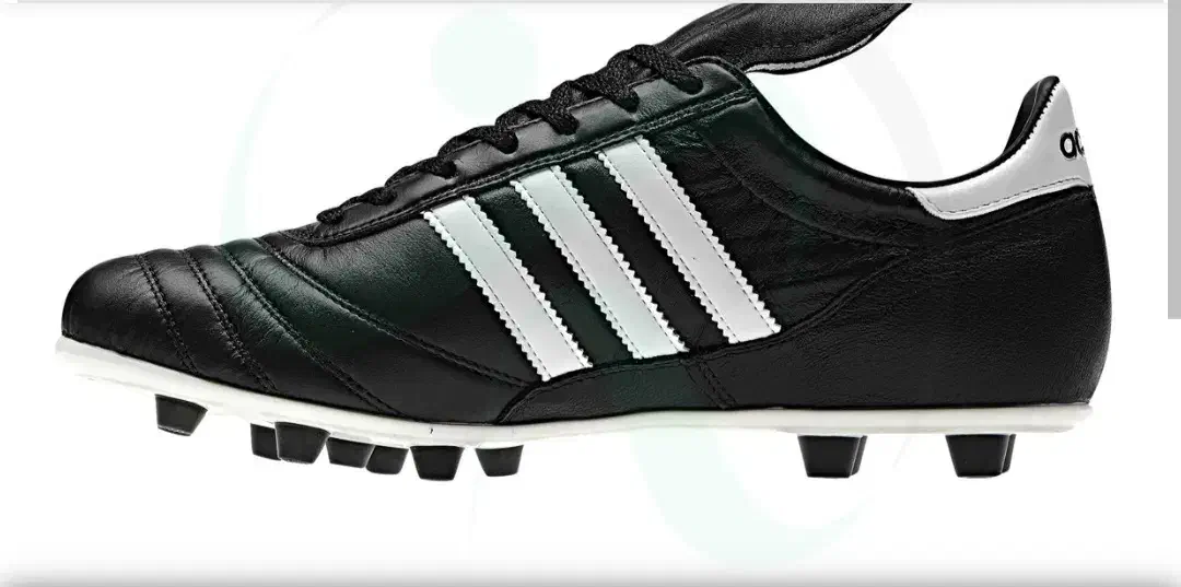 کفش استوک|کیف، کفش، کمربند|اندیمشک, |دیوار