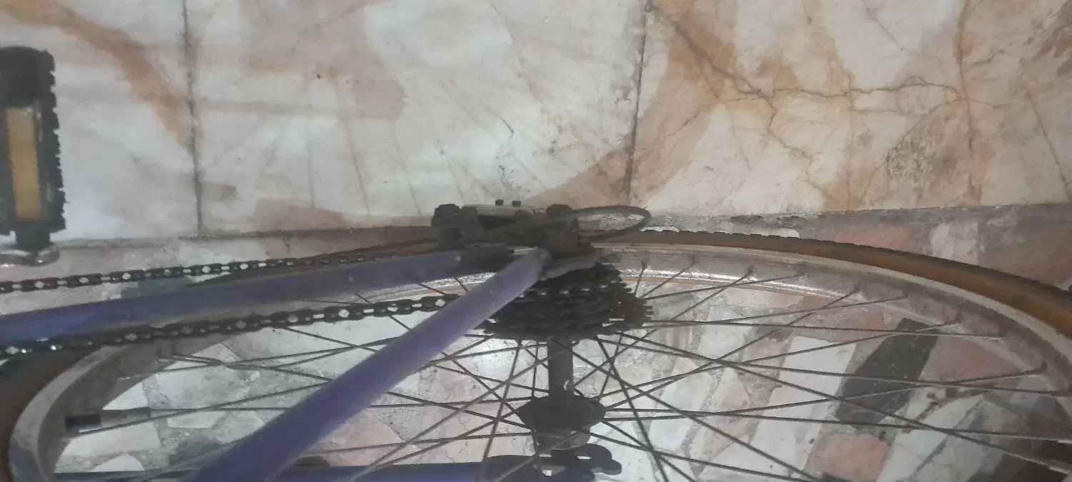 دو دوچرخه سواری سالم وتمیز  در سایز های ۲۶ و ۲۴|دوچرخه، اسکیت، اسکوتر|تهران, دستغیب|دیوار