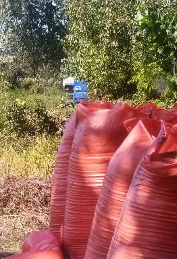 جوی برنج هاشمی در سنگر|عمده‌فروشی|سنگر, |دیوار