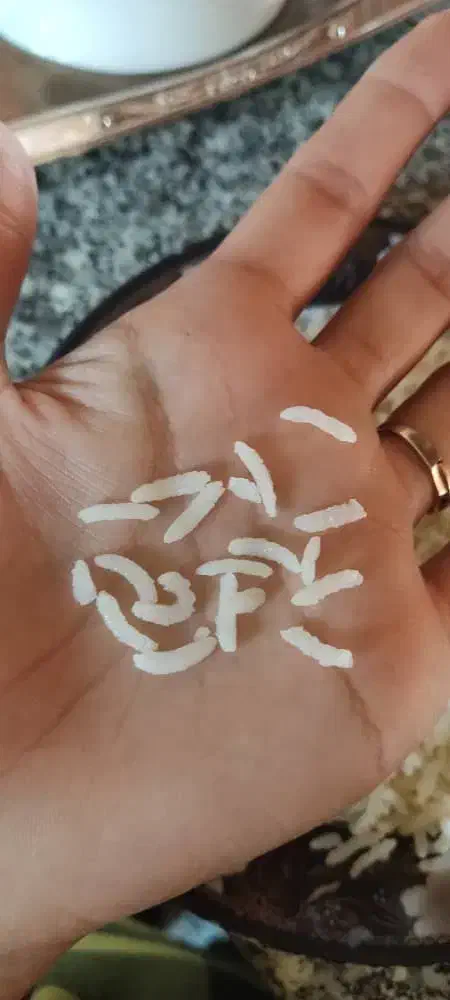 برنج کامفیروزی اصل|خوردنی و آشامیدنی|کامفیروز, |دیوار