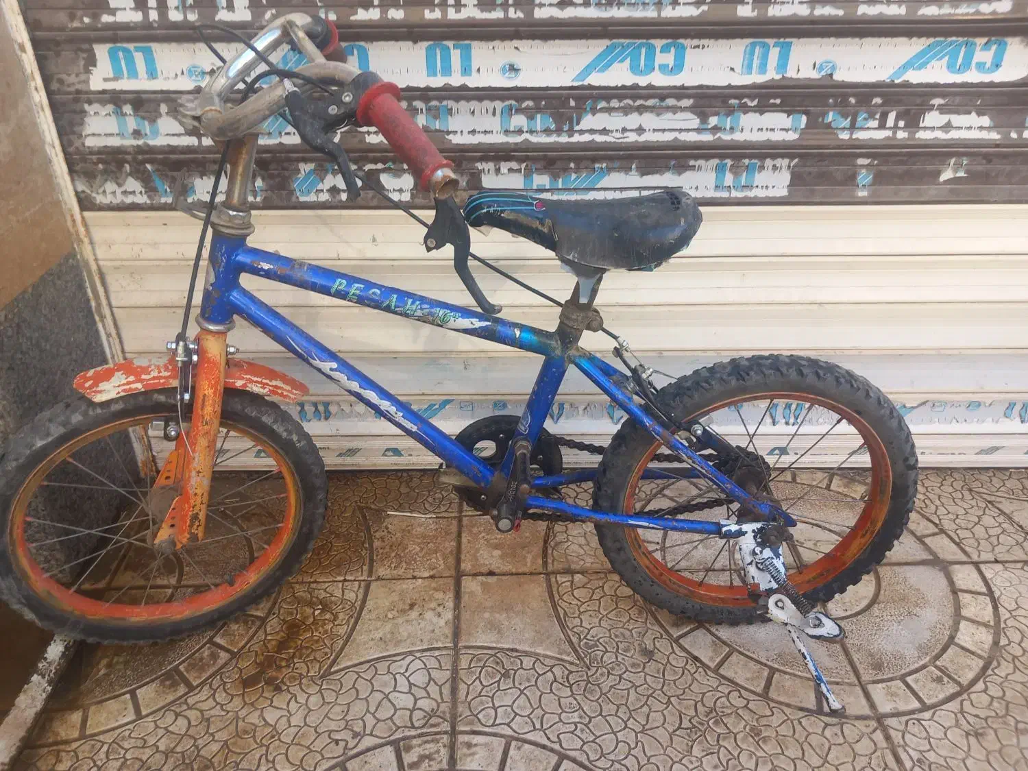 فروش دوچرخه|دوچرخه، اسکیت، اسکوتر|تربت‌حیدریه, شهرک ولیعصر|دیوار