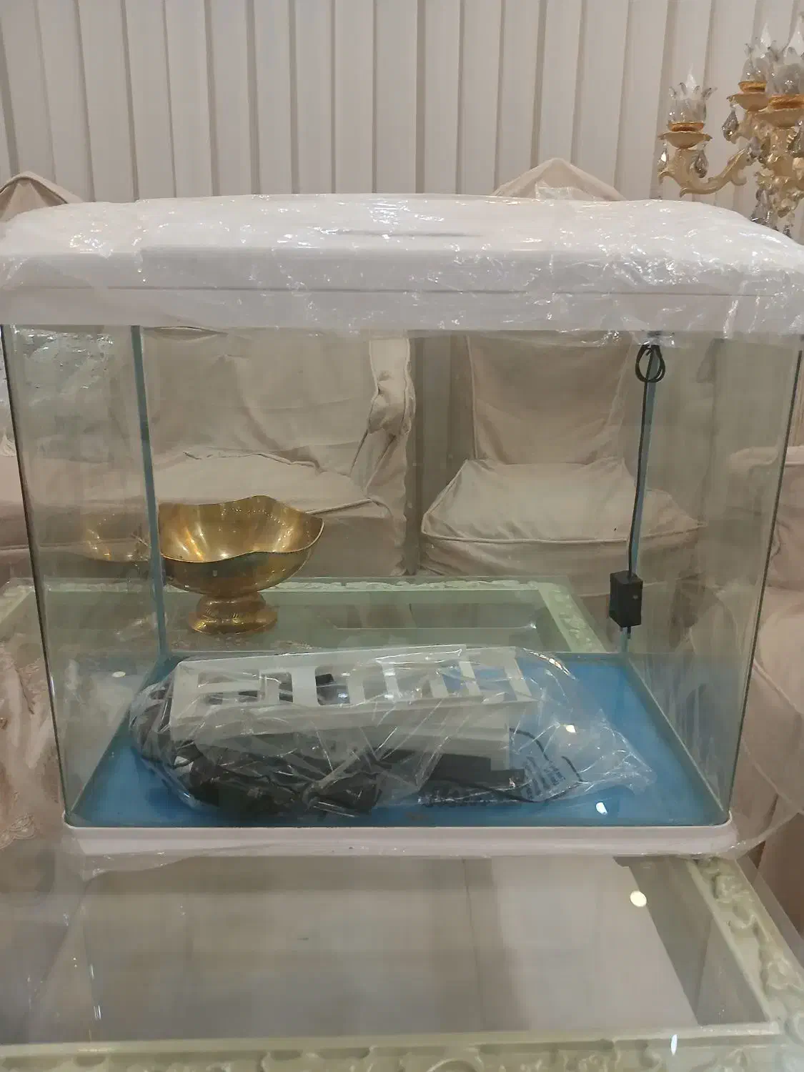 آکواریوم آکوآ|ماهی|سراب, |دیوار