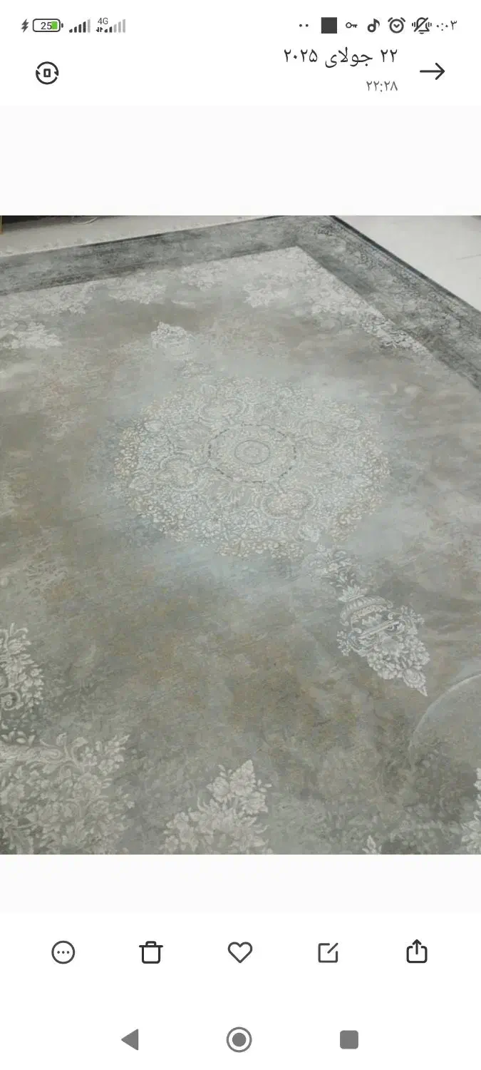 فرش۱۲متری|فرش|سبزوار, قلعهنو دهزار|دیوار