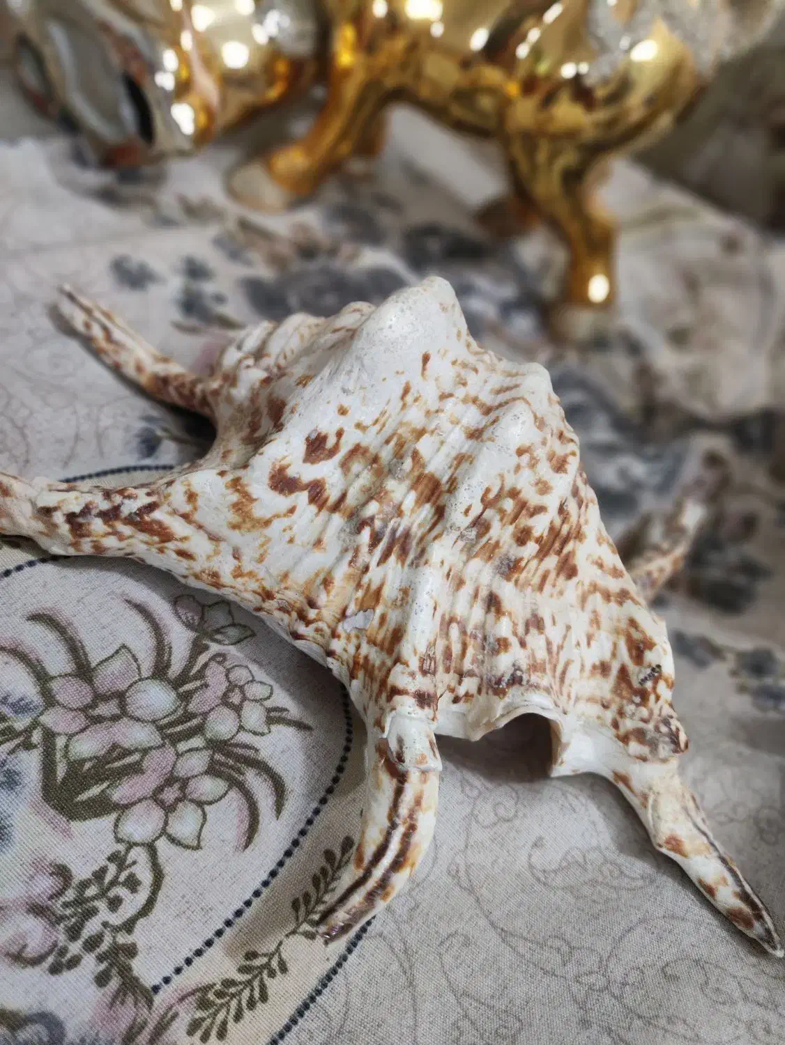 تعدادی دکوری منزل به علت جابجایی|صنایع دستی و سایر لوازم تزئینی|مشهد, خرمشهر|دیوار