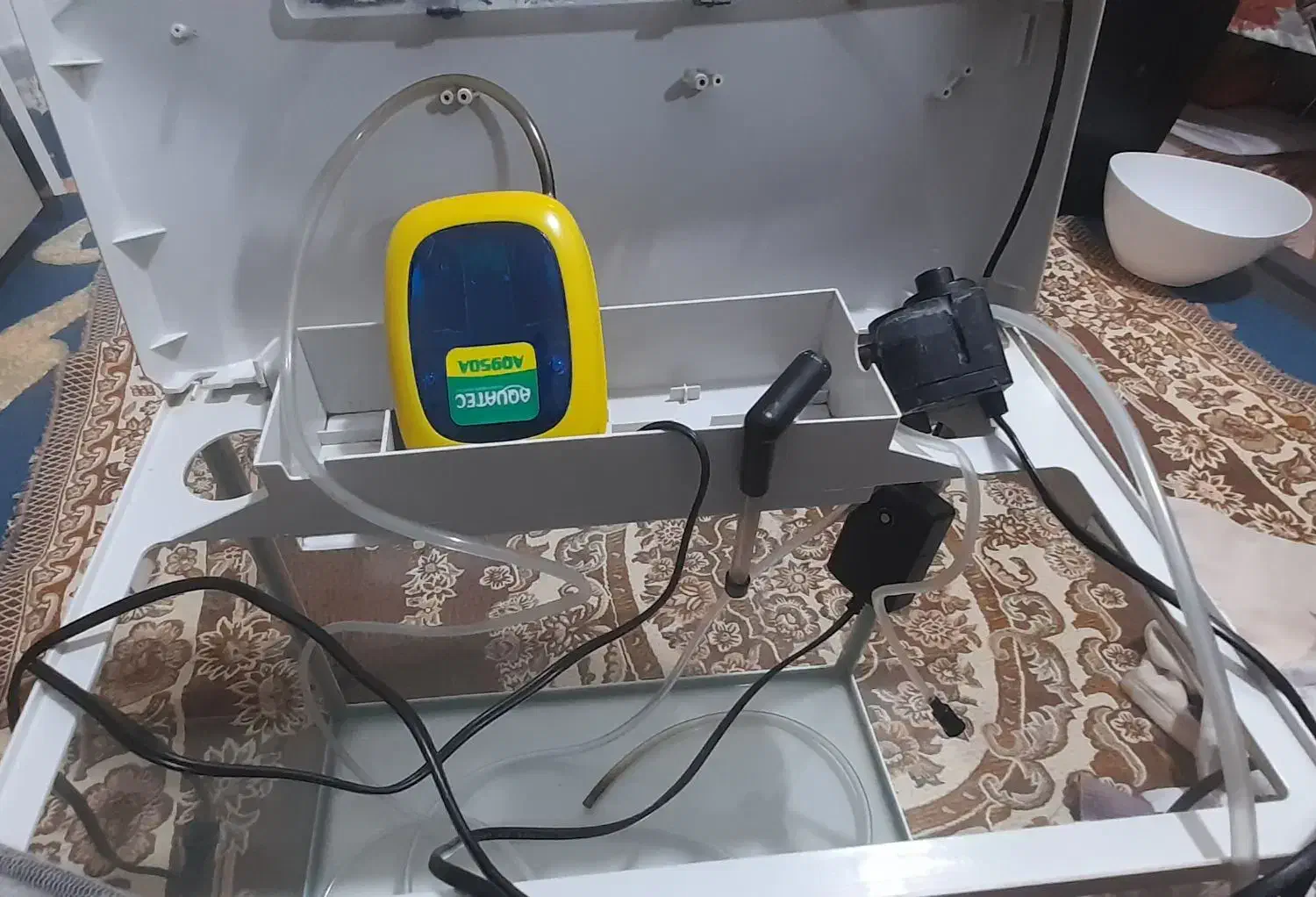 آکواریوم بزرگ درحد نو|ماهی|قروه, |دیوار