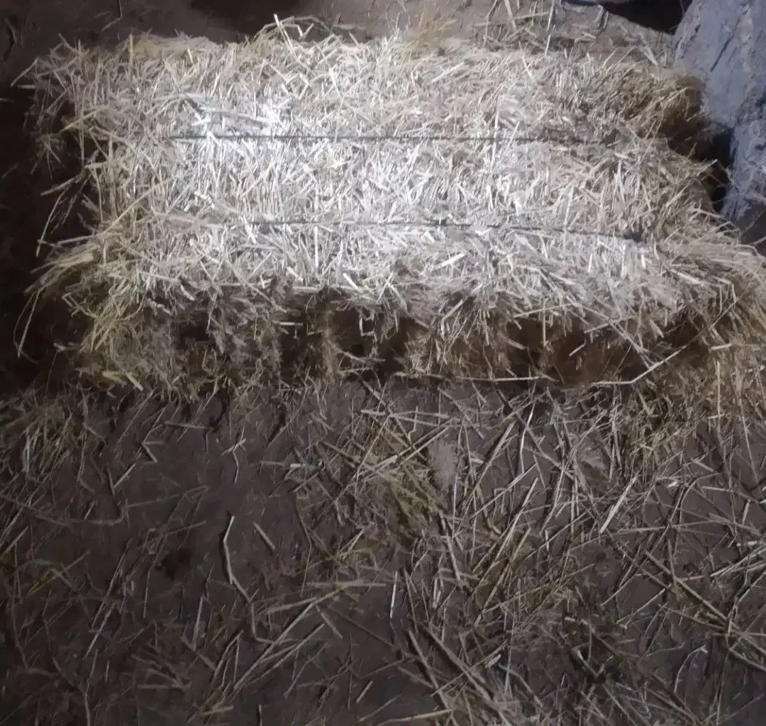 فروش|عمده‌فروشی|خمام, |دیوار