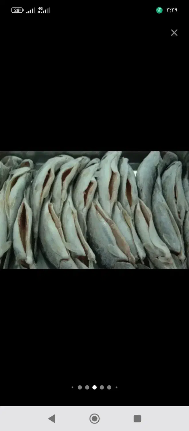 ماهی غزل|ماهی|یزد, |دیوار