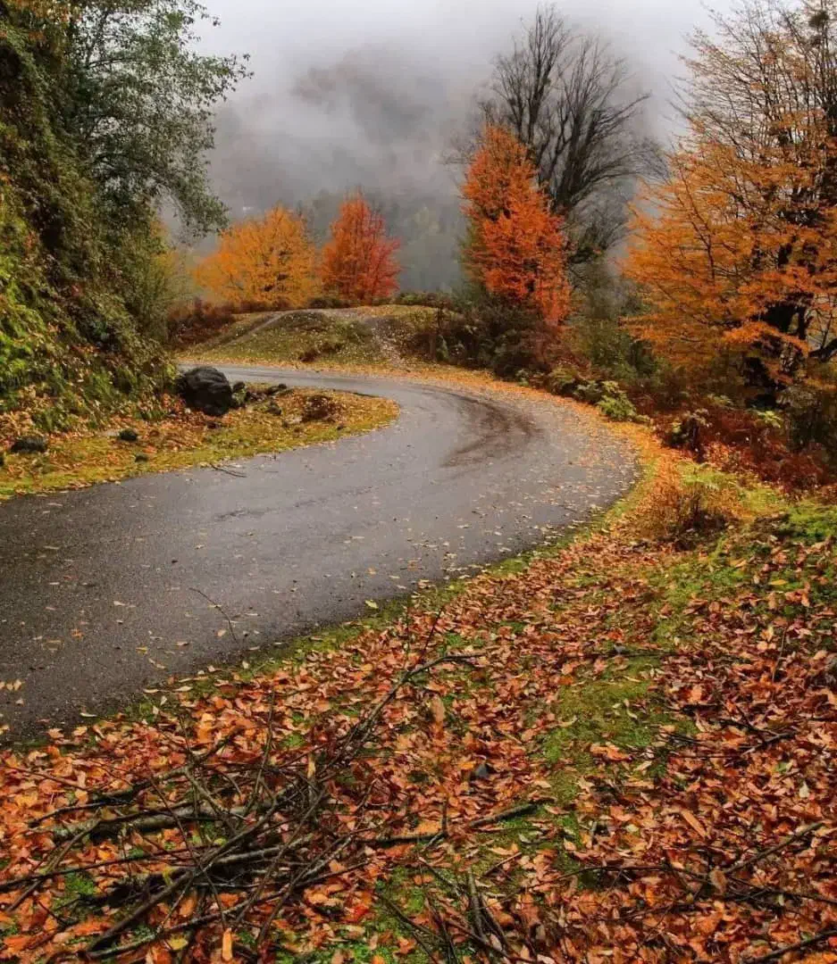 خرید و فروش وسایل نو و دست دوم یا کار کرده|عمدهفروشی|کازرون, |دیوار