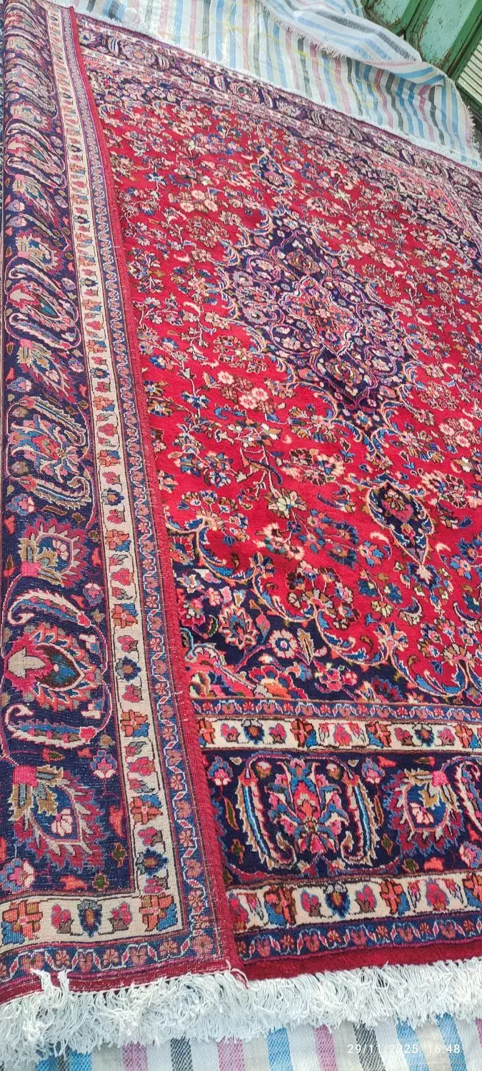 فرش ۱۲متری کاشمر|فرش|اسکو, |دیوار