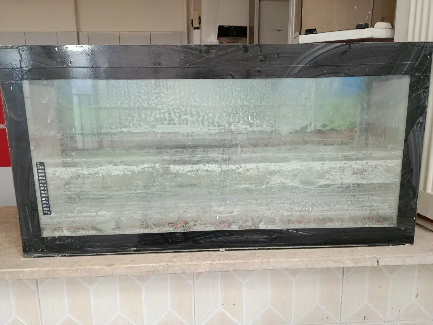 آکواریوم|ماهی|مشهد, یاس|دیوار