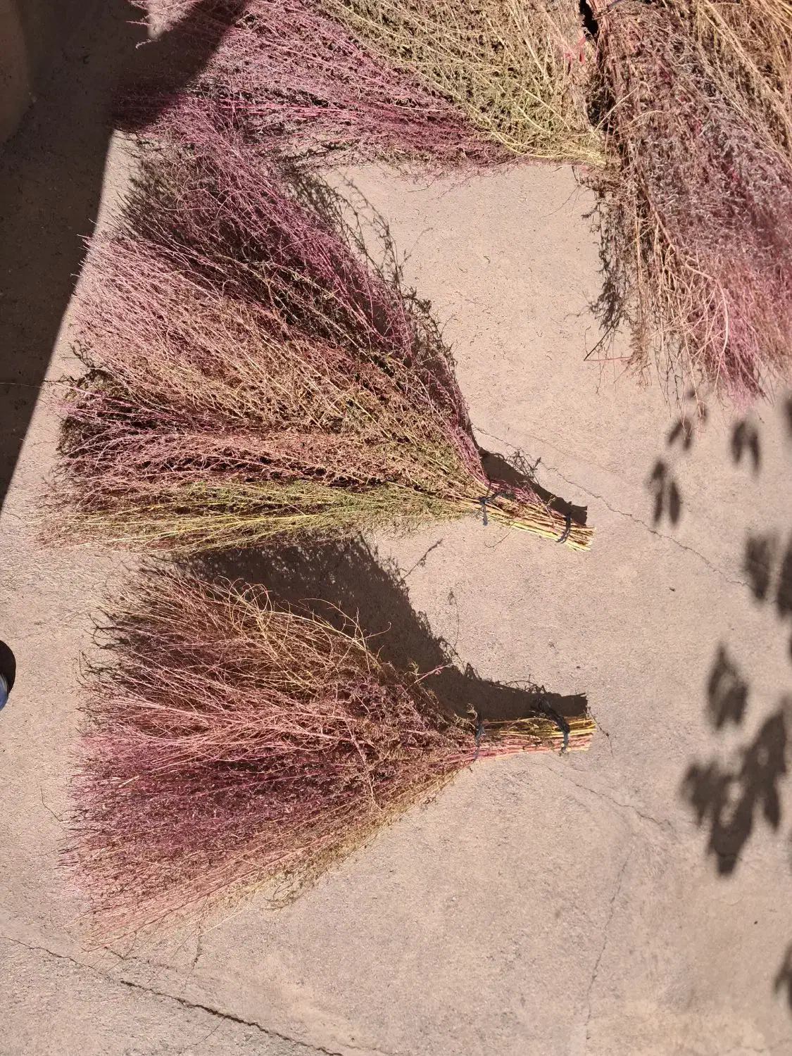 جارو|لوازم نظافت|خوی, |دیوار