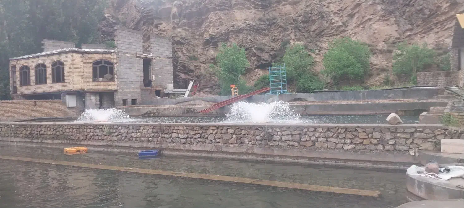 ماهی قزلآلا تازه ساده.سالمون مرغ،پوقلمون|ماهی|مشهد, شاهد (شهرک غرب)|دیوار