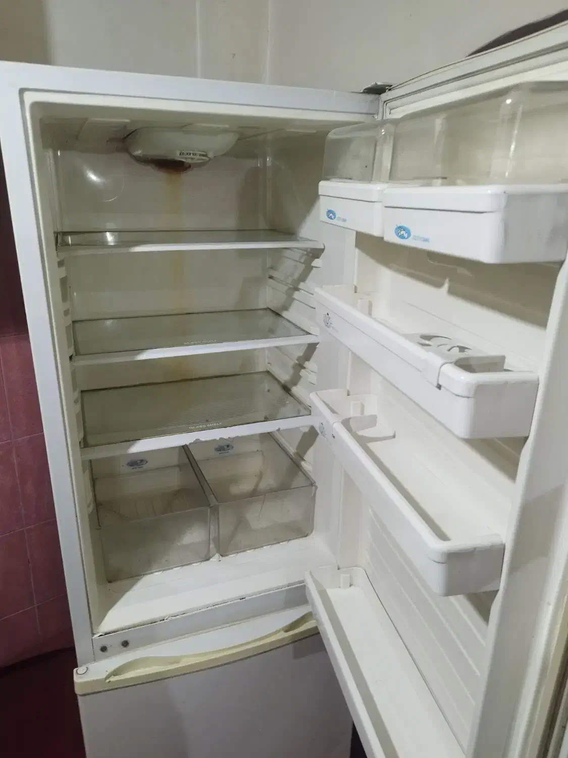 یخچال سینجر|یخچال و فریزر|تهران, هاشمی|دیوار