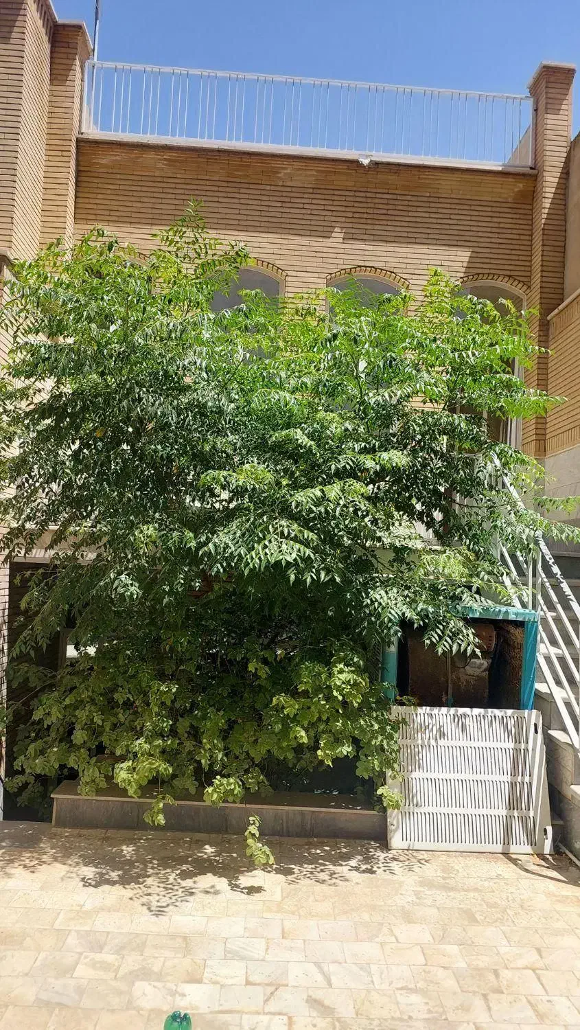 313متر/10 متر بر/جنوبی/قابل تهاتر|فروش زمین و ملک کلنگی|قم, باغ کرباسی|دیوار