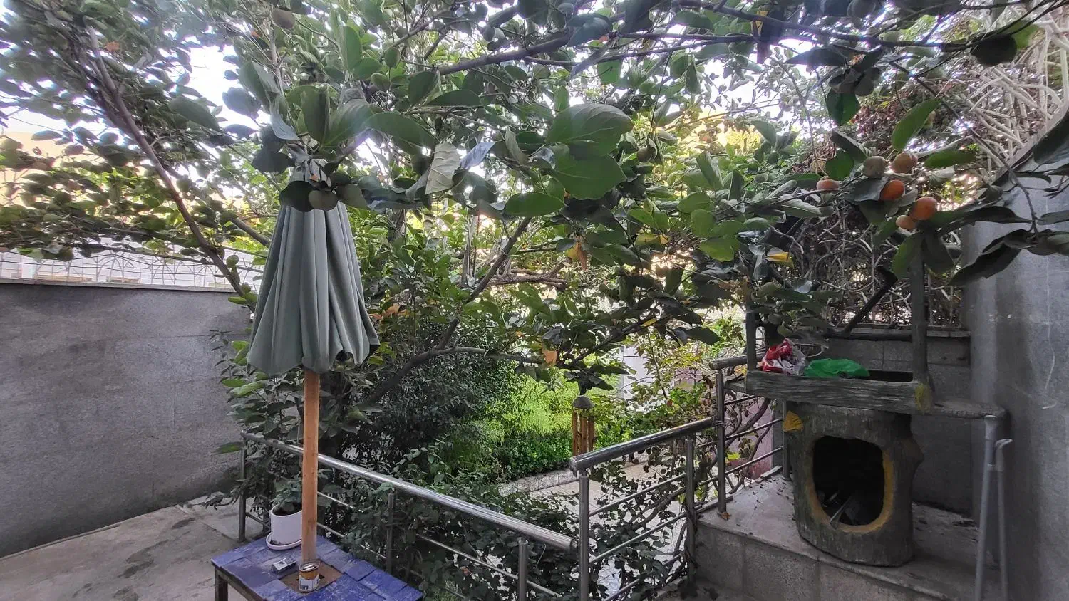 ویلا۶۶۰ متر ۴۰۰ متر بنا سند دار کردان کوهسار تهاتر|فروش خانه و ویلا|کوهسار (البرز), |دیوار