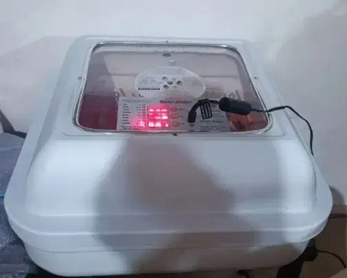 دستگاه جوجه کشی ایزی باتور ۱|لوازم جانبی حیوانات|مبارکه, |دیوار