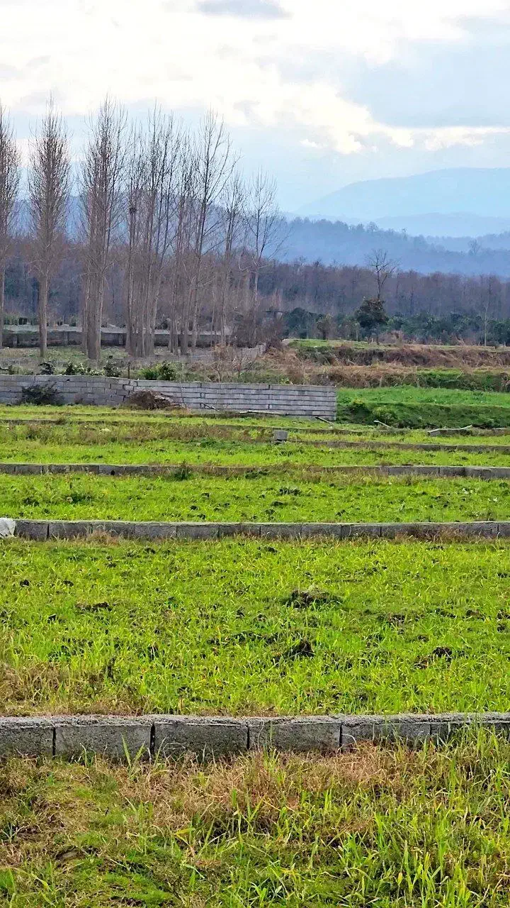سرمایه گذاری(زمین ۶۰۰متری) اقساط۱۲ماهه|فروش زمین و ملک کلنگی|امامزاده عبدالله, |دیوار