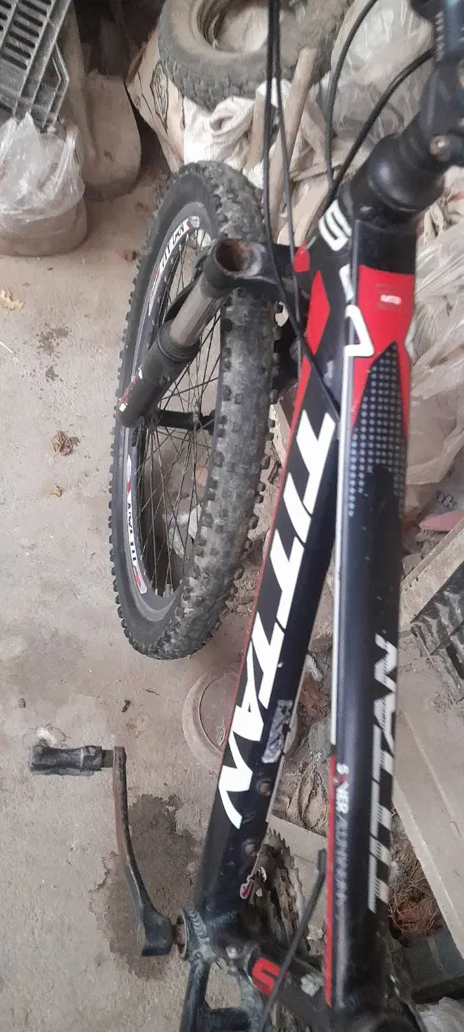 دچرخه ۲۴|دوچرخه، اسکیت، اسکوتر|گنبد کاووس, |دیوار