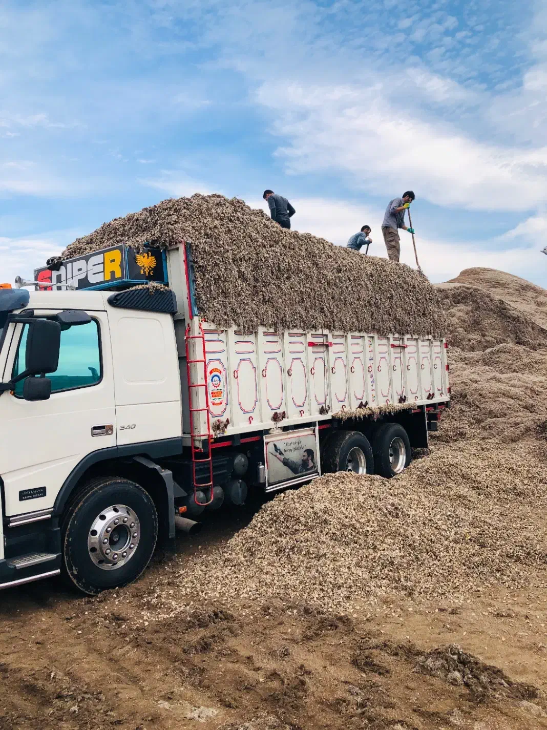 پوشال پنبه|عمده‌فروشی|محمدشهر, محمدشهر|دیوار