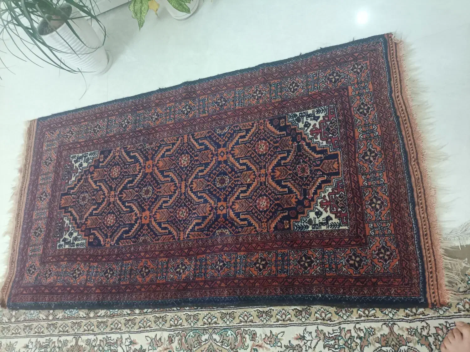 قالیچه ی دست بافت ابریشمی اصیل|کلکسیون اشیاء عتیقه|مشهد, فرهنگیان (شهرک غرب)|دیوار