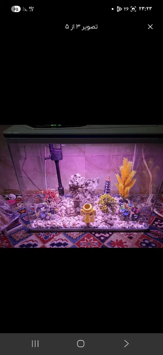 اکواریوم  بزرگ دیجیتال پای معامله تخفیف میدم|ماهی|تهران, جوادیه تهرانپارس|دیوار