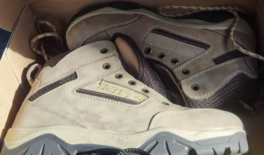 نیم بوت 313|کیف، کفش، کمربند|همدان, |دیوار