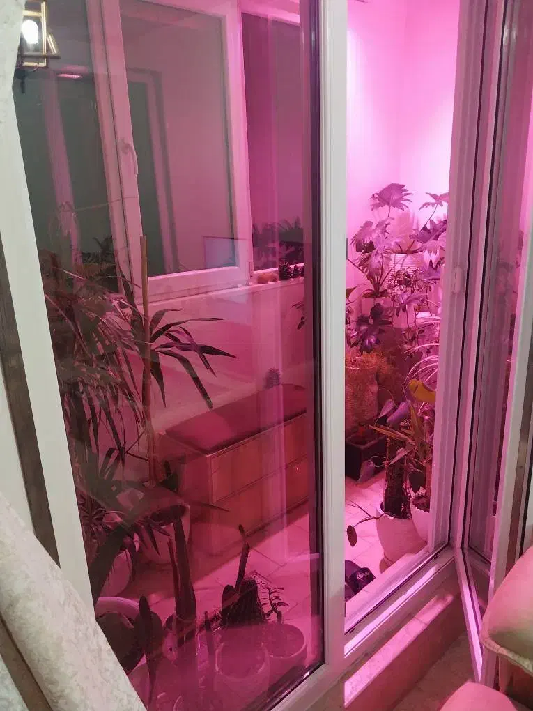 95متری .برج علوم پزشکی.|اجارهٔ آپارتمان|تهران, شهرک مخابرات|دیوار