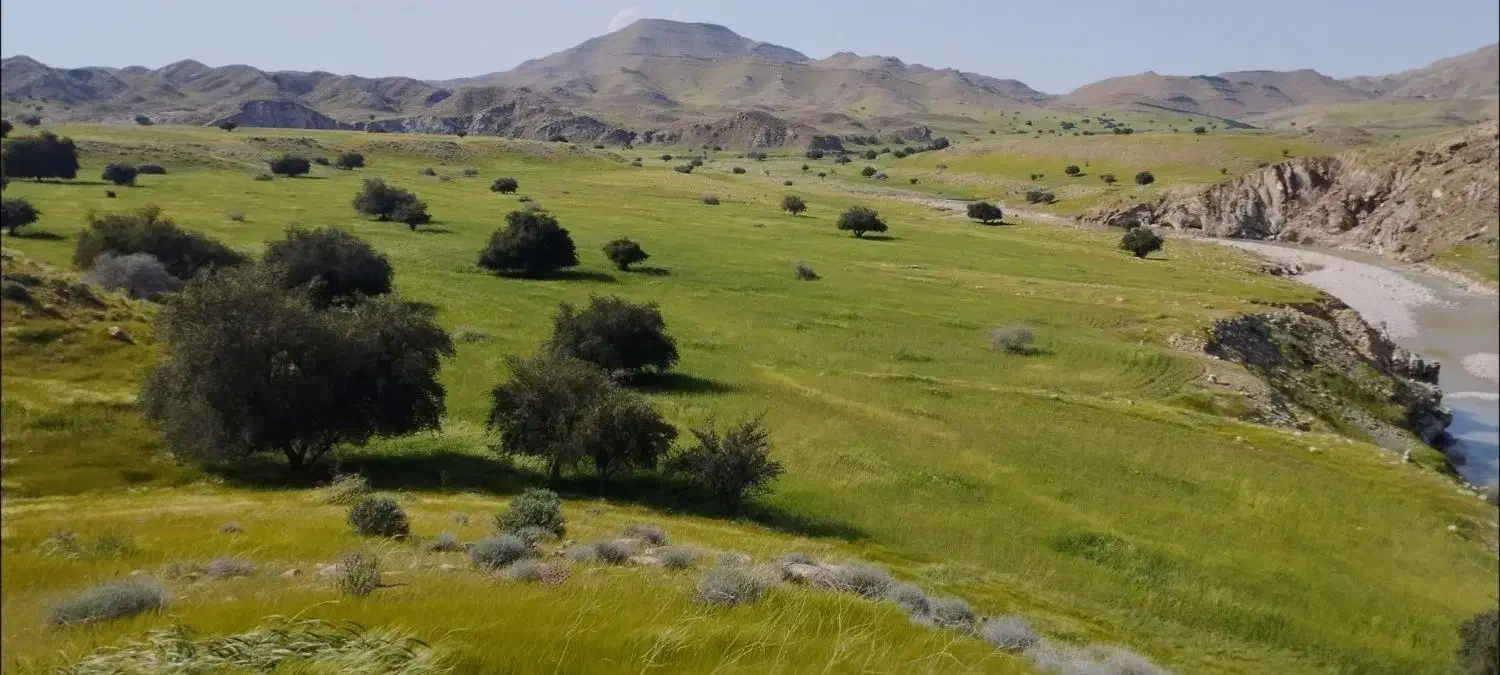 زمین کشاورزی|فروش زمین و ملک کلنگی|مسجد سلیمان, |دیوار