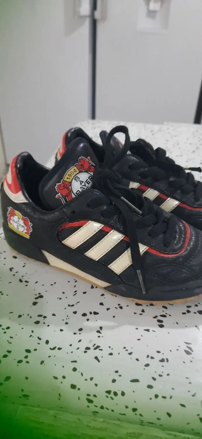 کتونی|کفش و لباس بچه|مشکیندشت, |دیوار