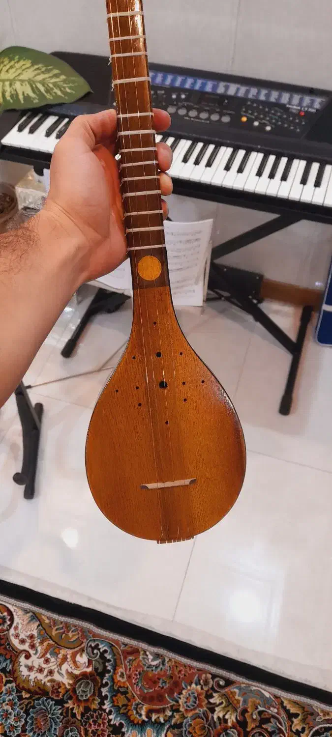 سه تار|سازهای سنتی|بهارستان, |دیوار