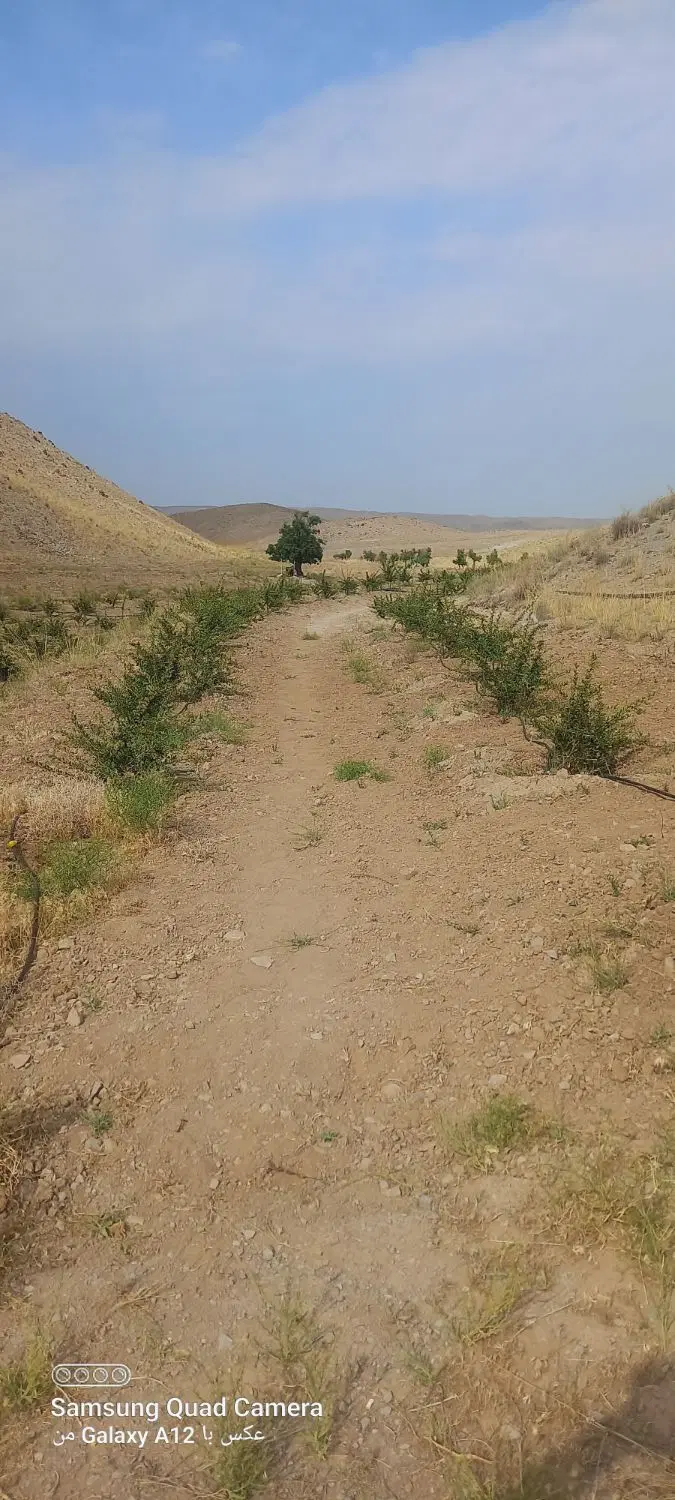 تصویر 3