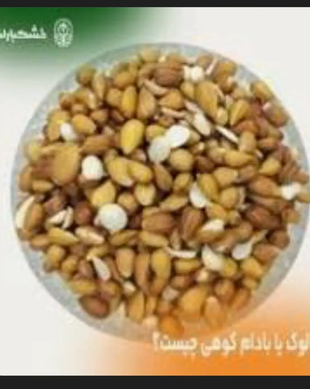 اش سلامت و ارگانیک|خوردنی و آشامیدنی|شیراز, عادل آباد|دیوار