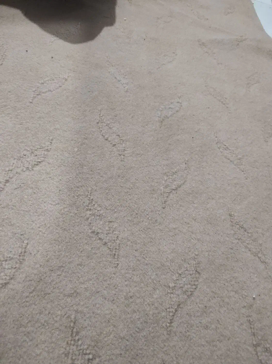 موکت|موکت|کارون, |دیوار