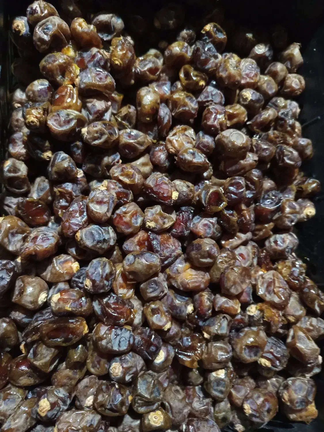 خرما برحی|خوردنی و آشامیدنی|اهواز, اسماعیلیه|دیوار